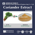 parsley leaves P.E. 10:1 pure parsley leaves extract powder                        
                                                Quality Choice
